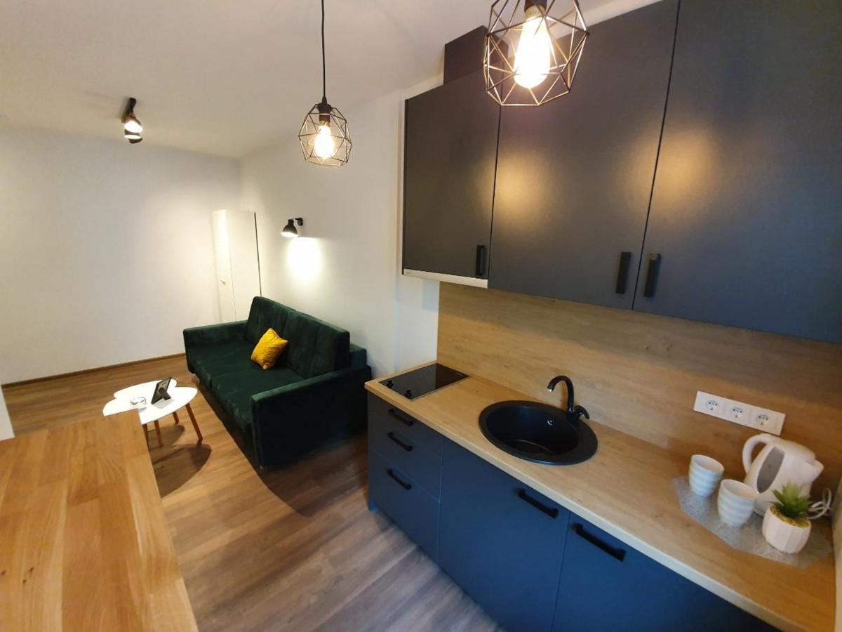 Oak House Apartments Каунас Экстерьер фото